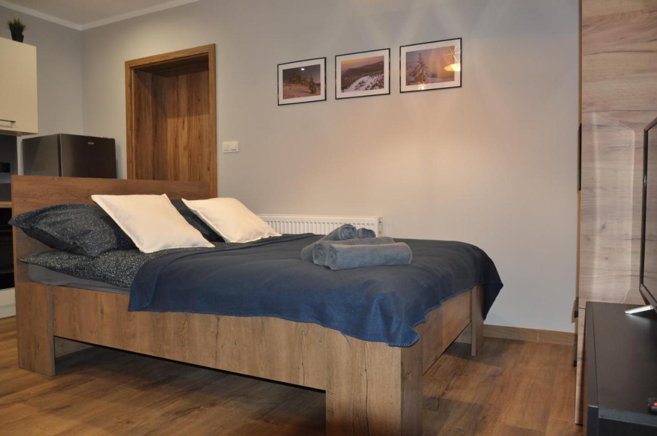 Apartamenty Sudety Бистрица Клодска Екстериор снимка